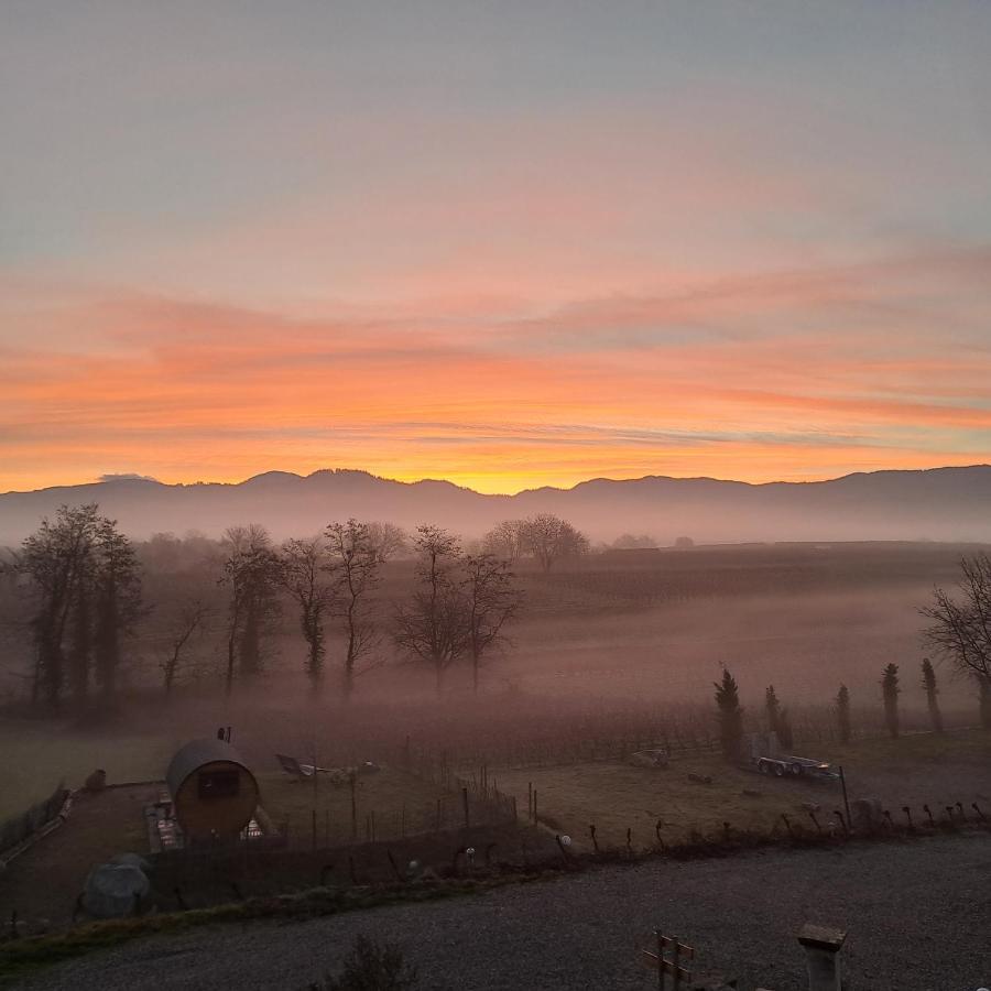 Ferienwohnung Castellberg Heitersheim Kültér fotó