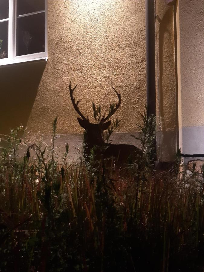 Ferienwohnung Castellberg Heitersheim Kültér fotó